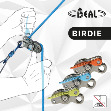 Assureur Birdie par Beal