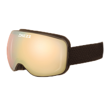 Masque de Ski Vizzion Polar