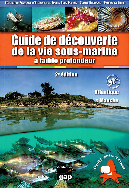 VIE SOUS MARINE A FAIBLE PROFONDEUR