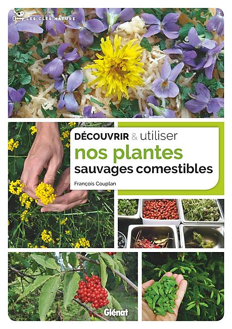 DECOUVRIR NOS PLANTES COMESTIBLES SAUVAGES