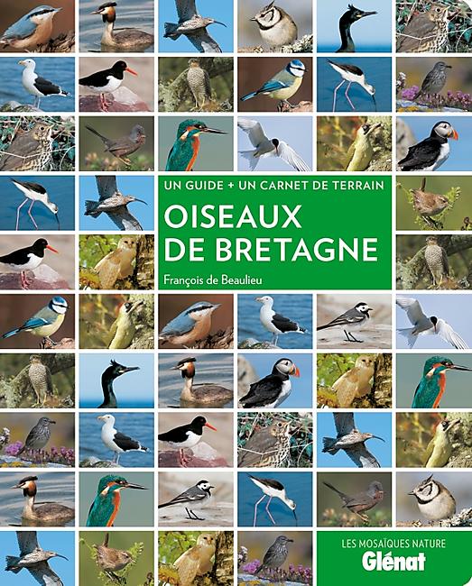 OISEAUX DE BRETAGNE