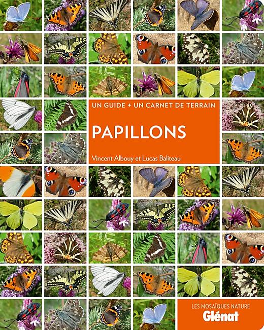 PAPILLONS