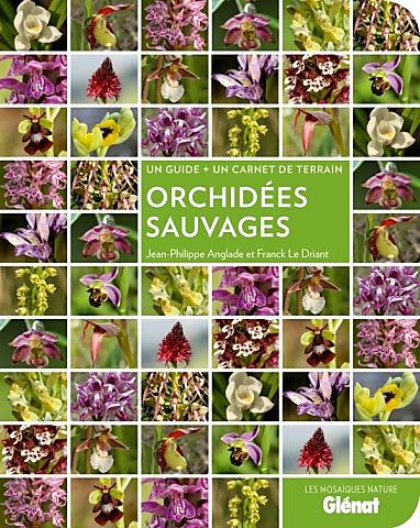 ORCHIDEES SAUVAGES