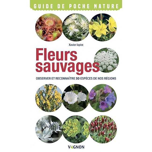 FLEURS SAUVAGES