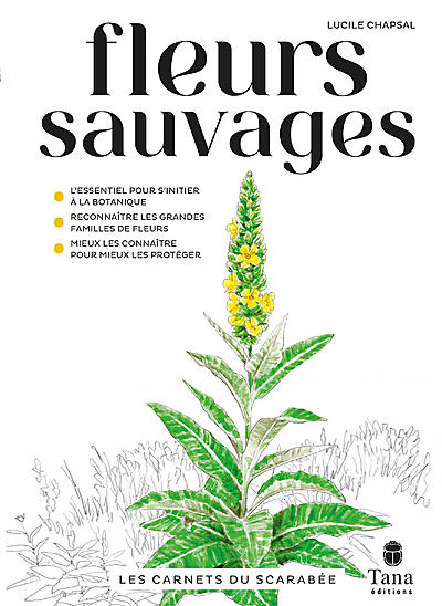FLEURS SAUVAGES