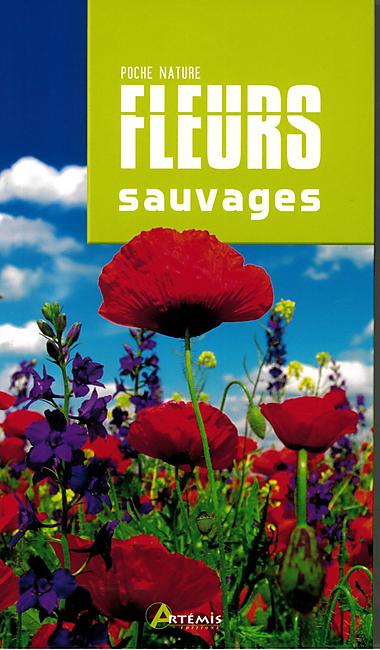 FLEURS SAUVAGES