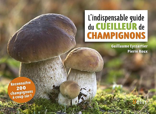 L INDISPENSABLE GUIDE DU CUEILLEUR DE CHAMPIGNONS
