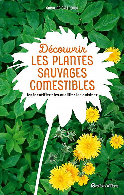 DECOUVRIR LES PLANTES SAUVAGES COMESTIBLES