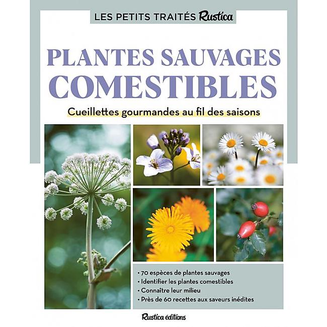 PLANTES SAUVAGES COMESTIBLES