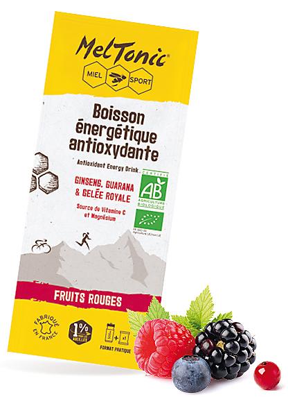 BOISSON ANTIOXYDANTE BIO FRUITS DES BOIS EN SACHET