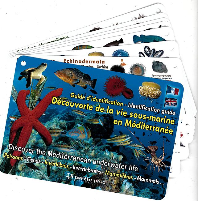 GUIDE D IDENTIFICATION IMMERGEABLE MEDITERRANEE