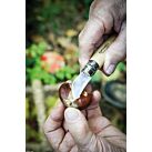 COUTEAU N7 CHATAIGNE AIL- FRUITS - OPINEL