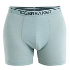 BOXER ANATOMICA M - ICEBREAKER