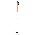 BATONS SKI SCREWDRIVER STICK - LACAL