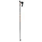 BATONS NORDIQUE XC05 - MASTERS