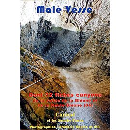 MALE VESSE