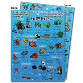 PLAQUETTE LA VIE SOUS MARINE EN MEDITERRANEE