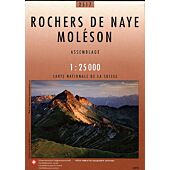 2517 ROCHERS DE NAYE ECHELLE 1 25 000