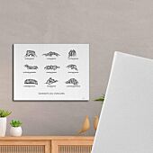 TOILE SOMMETS DU VECORS