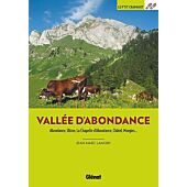 P TIT CRAPAHUT EN VALLEE D ABONDANCE