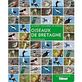 OISEAUX DE BRETAGNE