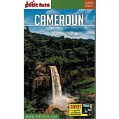 PETIT FUTE CAMEROUN