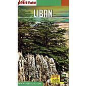 PETIT FUTE LIBAN