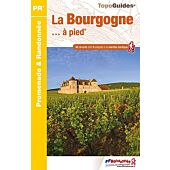 RE14 LA BOURGOGNE A PIED FFRP