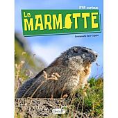 LA MARMOTTE