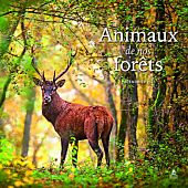 CALENDRIER 2024 ANIMAUX DE NOS FORETS