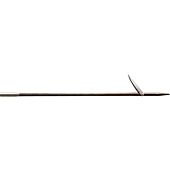 ARPON POLE SPEAR