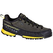 CHAUSSURES DE RANDONNE TX5 LOW GTX