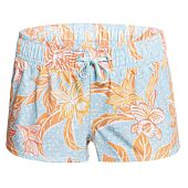 BOARDSHORT ISLAND IN THE SUN 2