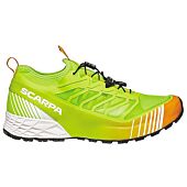 CHAUSSURES DE TRAIL RIBELLE RUN M