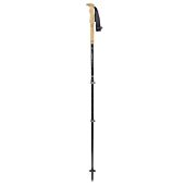 BATONS DE RANDONNEE CARBON CLOUD ZERO