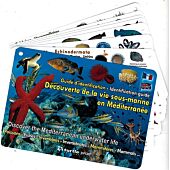 GUIDE D IDENTIFICATION IMMERGEABLE MEDITERRANEE