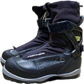 BCX6