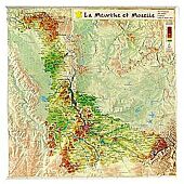 GEORELIEF D54 MEURTHE ET MOSELLE 31X31