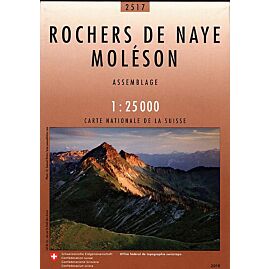 2517 ROCHERS DE NAYE ECHELLE 1 25 000