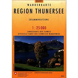 2519T REGION THUNERSEE ECHELLE 1 25 000