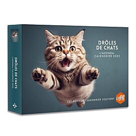 AGENDA CALENDRIER DROLES DE CHATS 2025