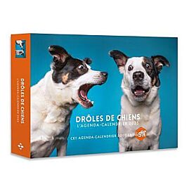 AGENDA CALENDRIER DROLES DE CHIENS 2025