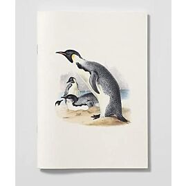 CARNET EREBUS ET TERROR EN ANTARCTIQUE