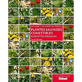 PLANTES SAUVAGES COMESTIBLES