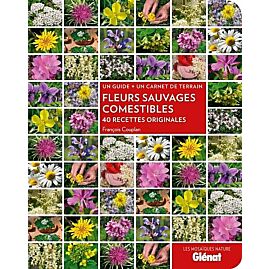 FLEURS SAUVAGES COMESTIBLES