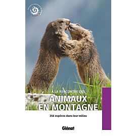 A LA RENCONTRE DES ANIMAUX EN MONTAGNE