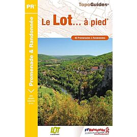 D046 LE LOT A PIED FFRP