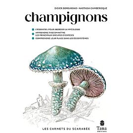 CHAMPIGNONS