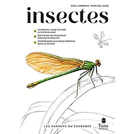 INSECTES