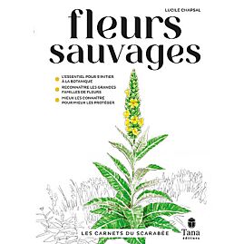 FLEURS SAUVAGES